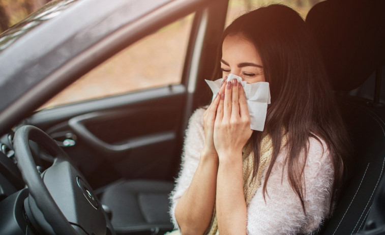 Aumentan las alergias en primavera: precauciones y consejos para conducir seguro