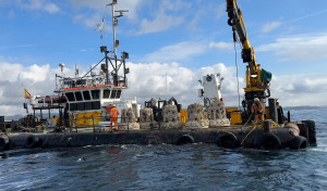 El innovador proyecto de arrecife artificial con el que BMW apoya la conservación marina