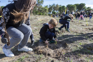 Renault España celebra el Día Mundial del Medio Ambiente con la plantación de su tercer bosque