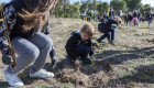 Renault España celebra el Día Mundial del Medio Ambiente con la plantación de su tercer bosque