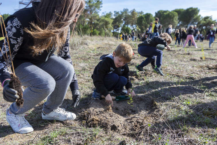 Renault España celebra el Día Mundial del Medio Ambiente con la plantación de su tercer bosque