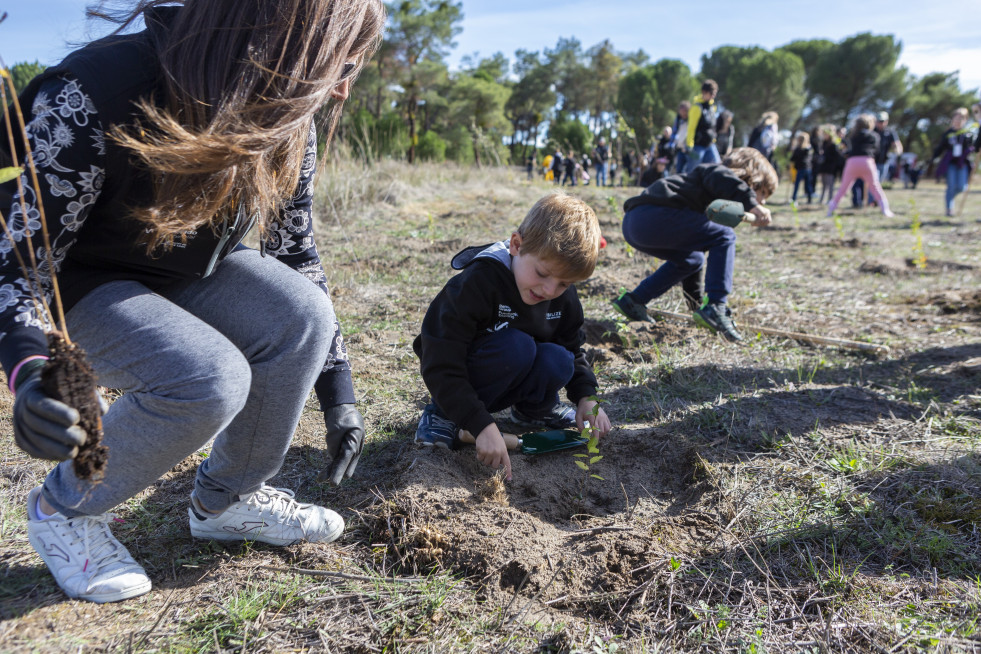 Renault España celebra el Día Mundial del Medio Ambiente con la plantación de su tercer bosque