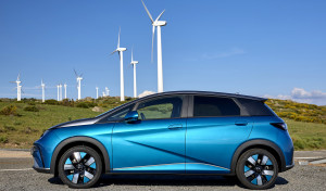 Galería. BYD Dolphin