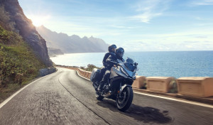 La venta de motos y vehículos ligeros repuntó un 5,6% en junio