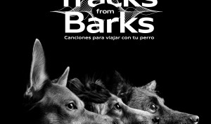 Audi presenta música relajante para perros en carretera por el Día Mundial del Perro