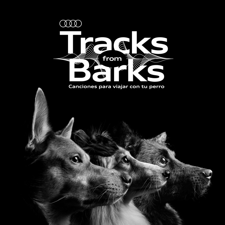 Audi presenta música relajante para perros en carretera por el Día Mundial del Perro