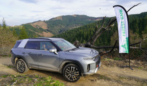 SsangYong colaboró en la reforestación del monte Aretzabaleta (Vizcaya), arrasado por un incendio
