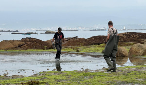 (V) Los autocaravanistas descubren los secretos del marisqueo en la ría de Arousa