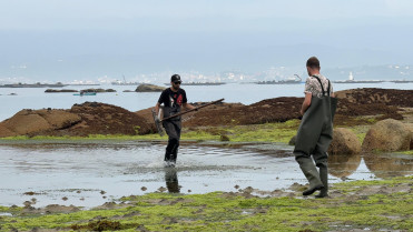 (V) Los autocaravanistas descubren los secretos del marisqueo en la ría de Arousa